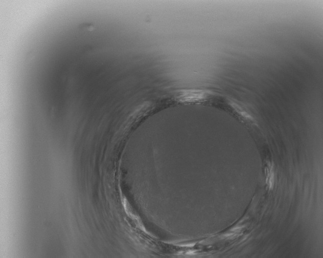 X0000080101441200612221726