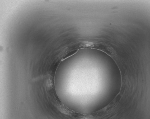 X0000080101442200612221726