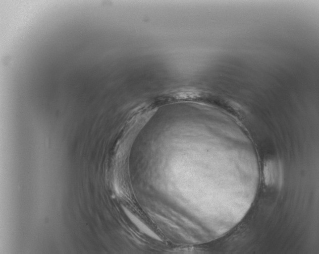 X0000080101444200612221726