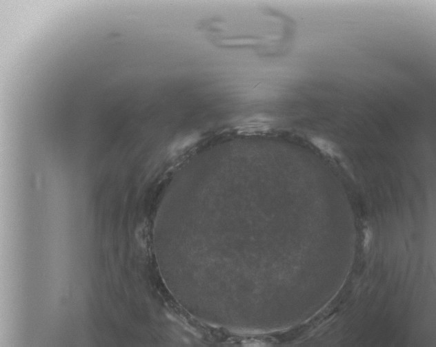 X0000080101445200612221726