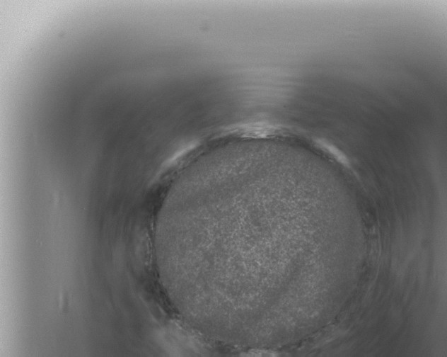 X0000080101446200612221726