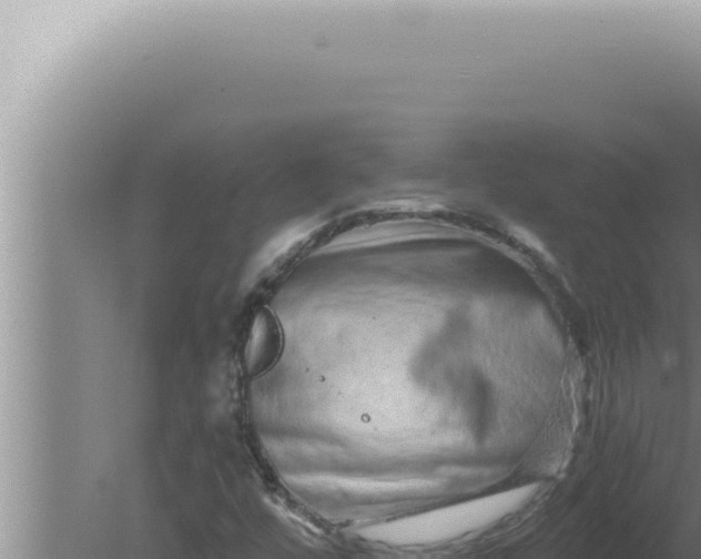 X0000080101448200612221726