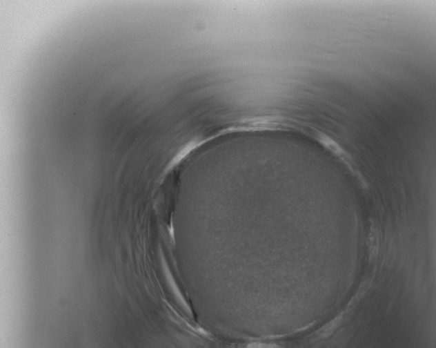 X0000080101449200612221726