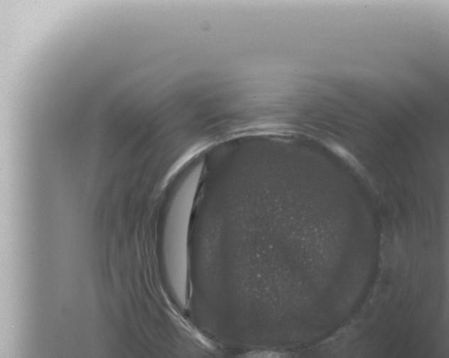 X0000080101450200612221726