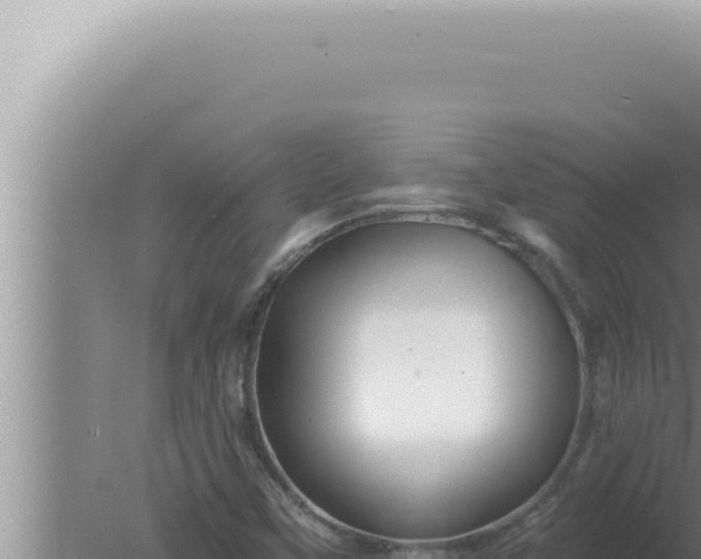 X0000080101451200612221726