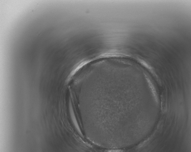 X0000080101453200612221726