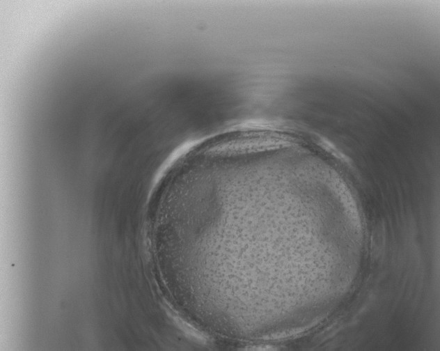 X0000080101454200612221726