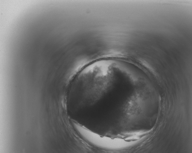 X0000080101455200612221726