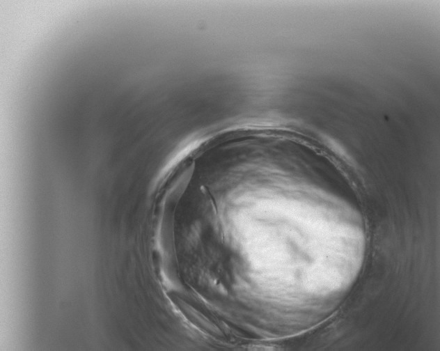 X0000080101456200612221726