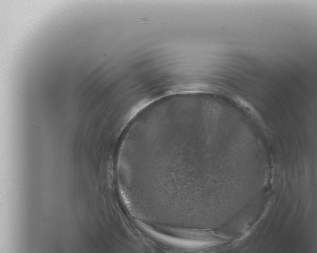 X0000080101457200612221726