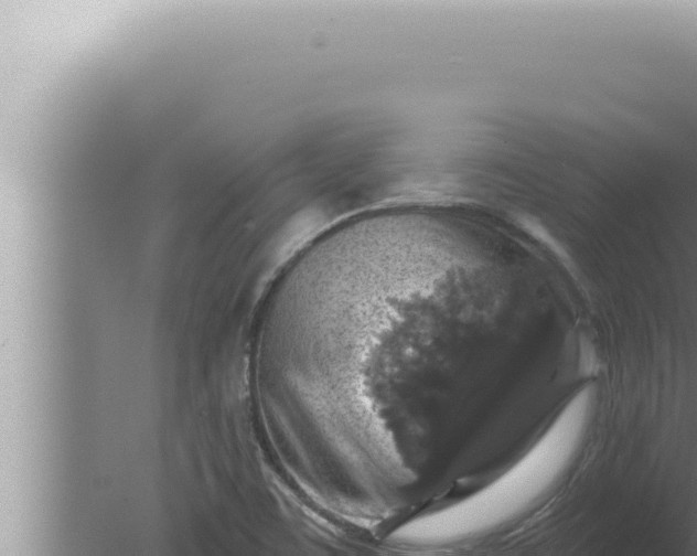 X0000080101459200612221726