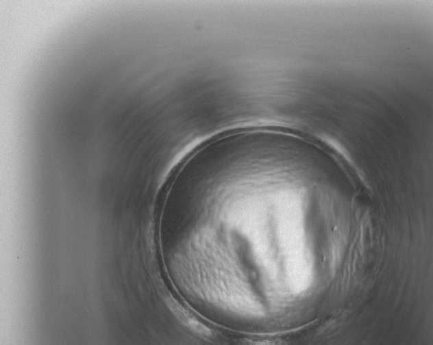 X0000080101460200612221726