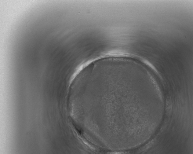 X0000080101461200612221726