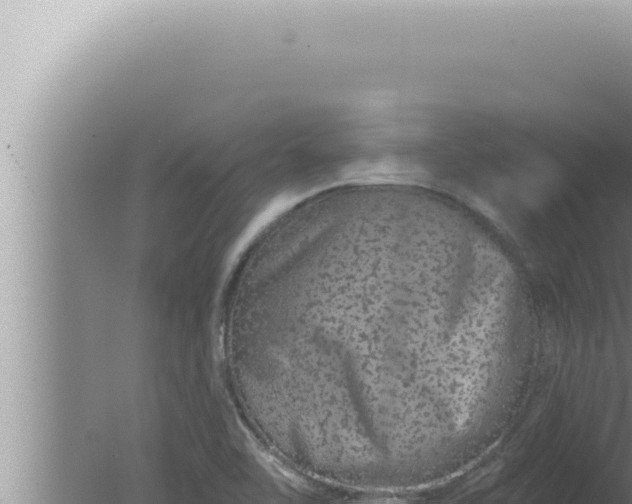 X0000080101462200612221726