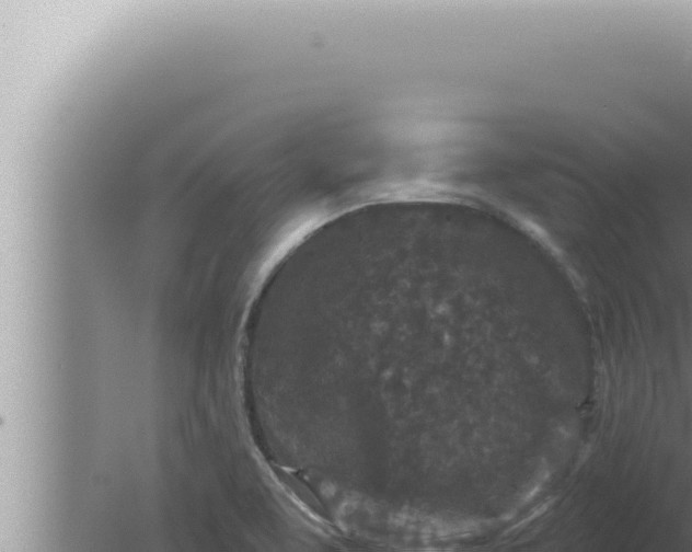 X0000080101463200612221726