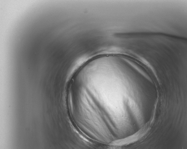 X0000080101464200612221726