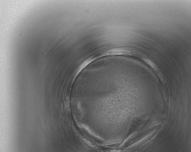 X0000080101465200612221726