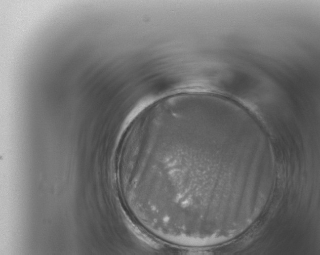 X0000080101466200612221726