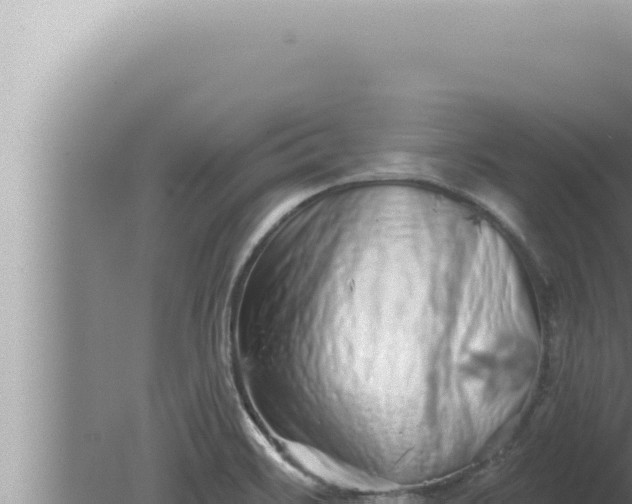 X0000080101468200612221726