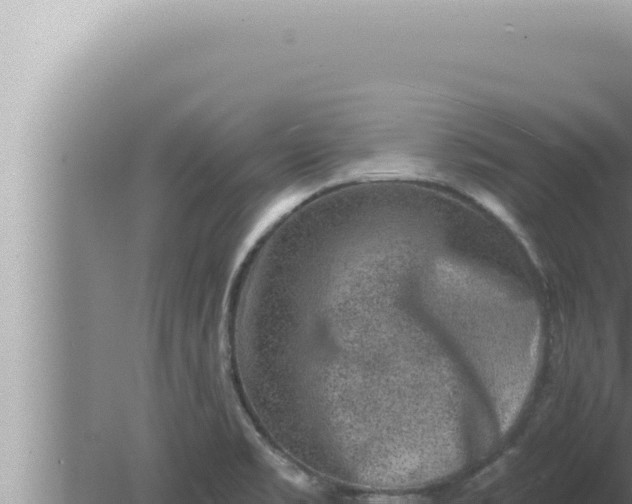 X0000080101469200612221726