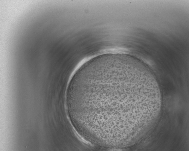 X0000080101470200612221726