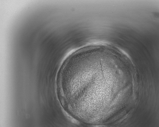 X0000080101471200612221726