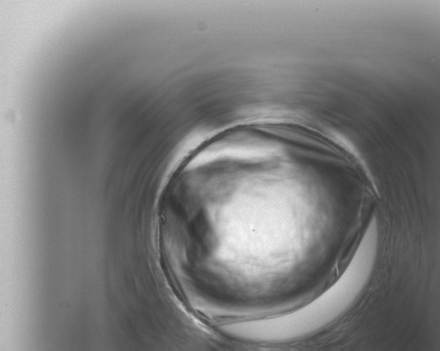 X0000080101472200612221726