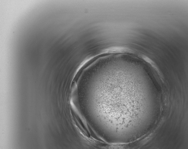 X0000080101473200612221726