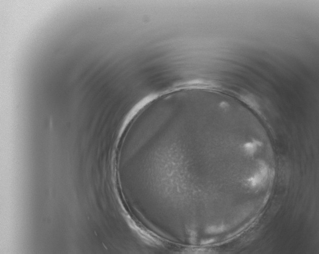 X0000080101474200612221726