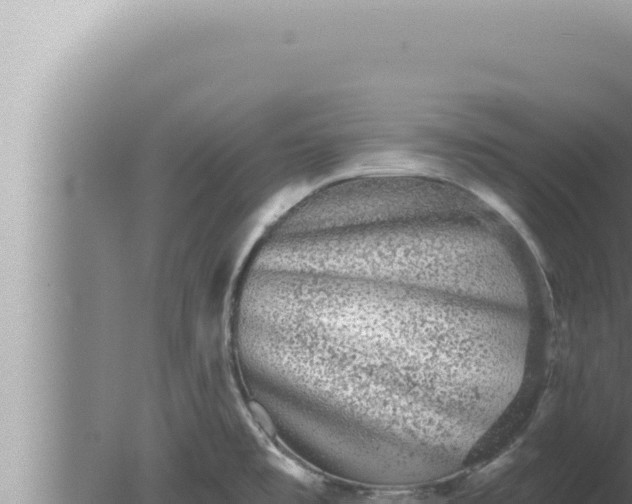 X0000080101477200612221726