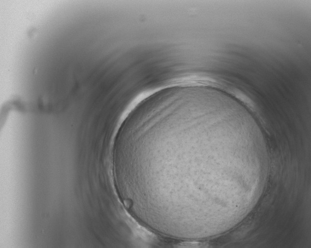 X0000080101478200612221726