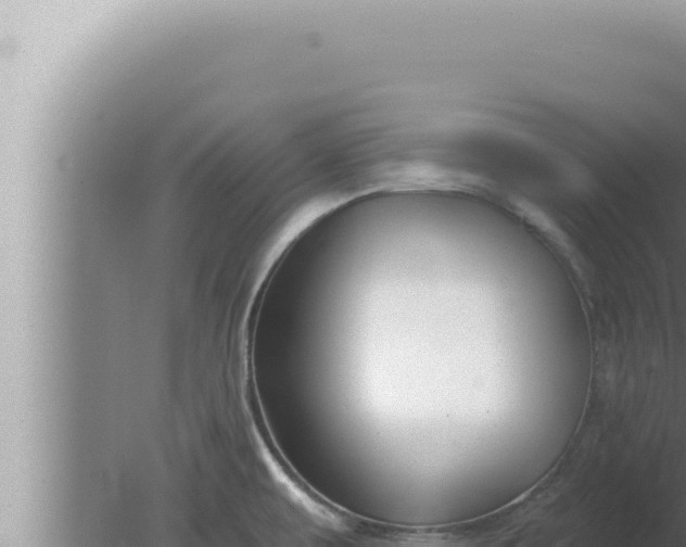 X0000080101479200612221726