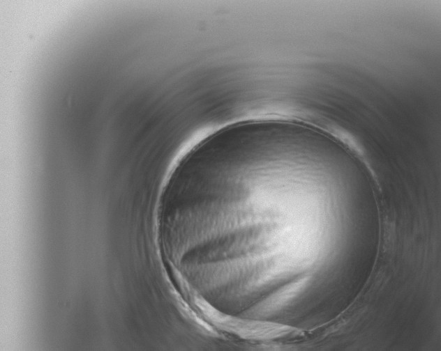 X0000080101480200612221726