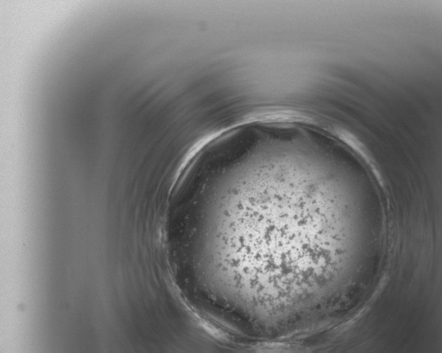 X0000080101481200612221726