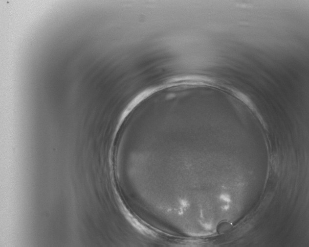 X0000080101482200612221726