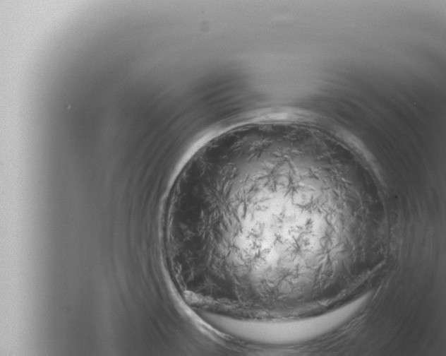 X0000080101483200612221726