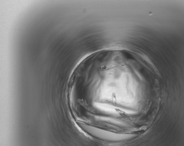 X0000080101484200612221726