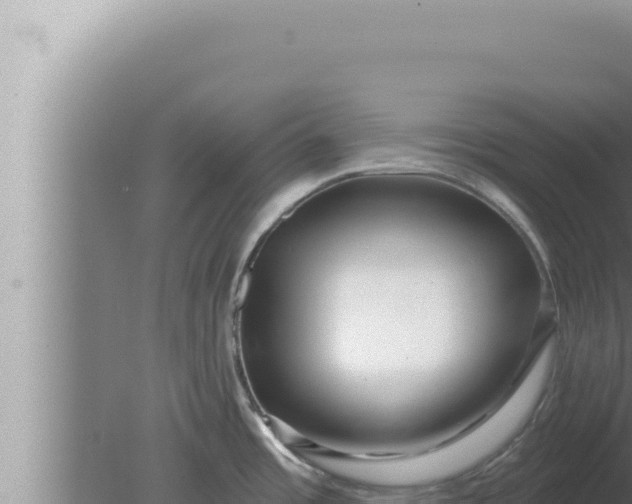 X0000080101485200612221726