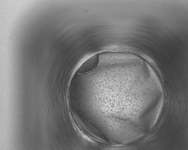 X0000080101486200612221726