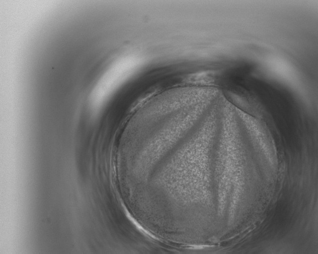 X0000080101487200612221726