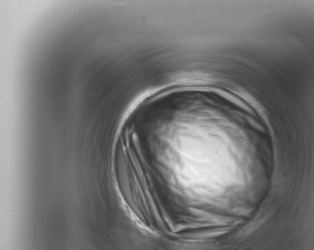 X0000080101488200612221726