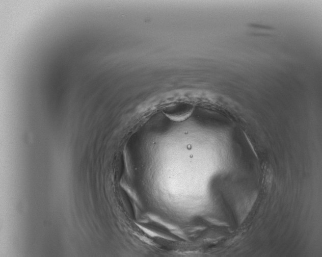 X0000080101489200612221725