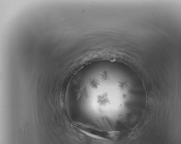 X0000080101490200612221725