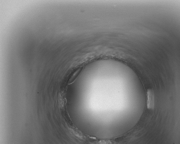 X0000080101491200612221725