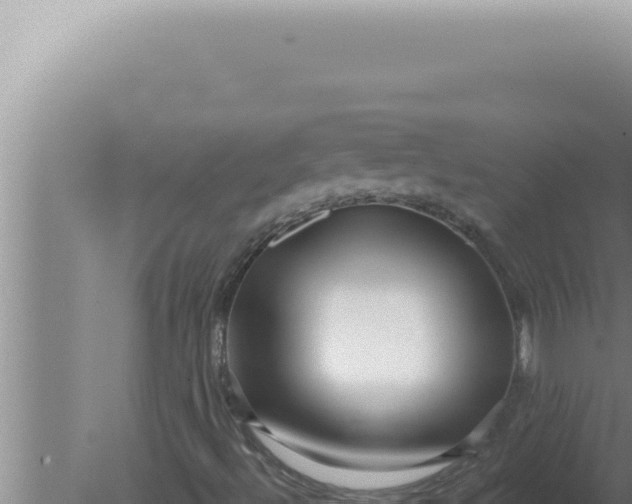 X0000080101492200612221725