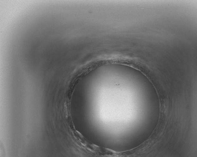 X0000080101493200612221725