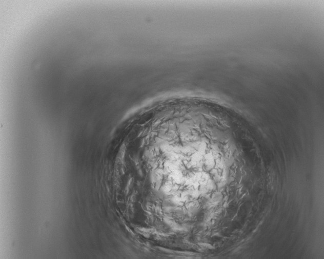 X0000080101494200612221725