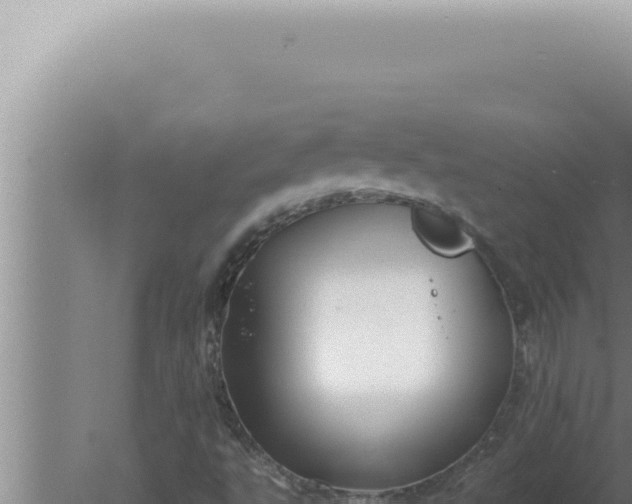 X0000080101495200612221725