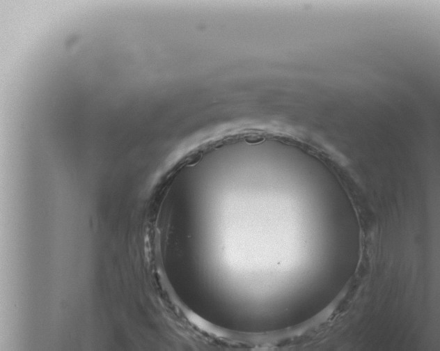 X0000080101496200612221725