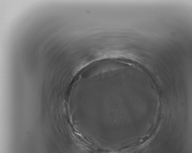 X0000080101497200612221725